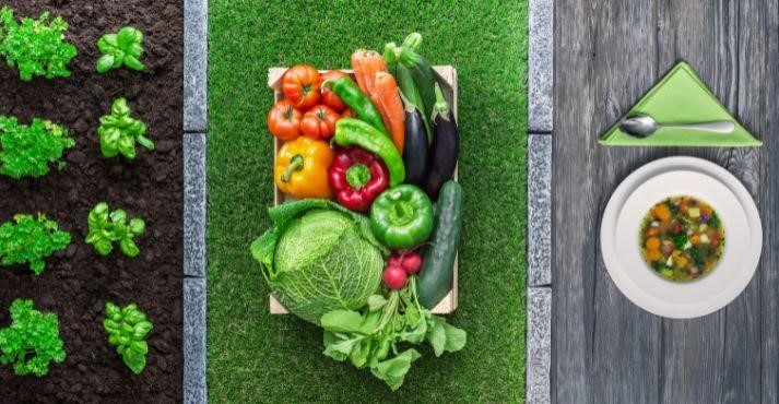 Farm to Table: Our Commitment to Local Ingredients